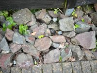 Steine zu verschenken Nordrhein-Westfalen - Remscheid Vorschau