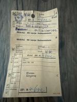 Pelzmantel Hessen - Riedstadt Vorschau