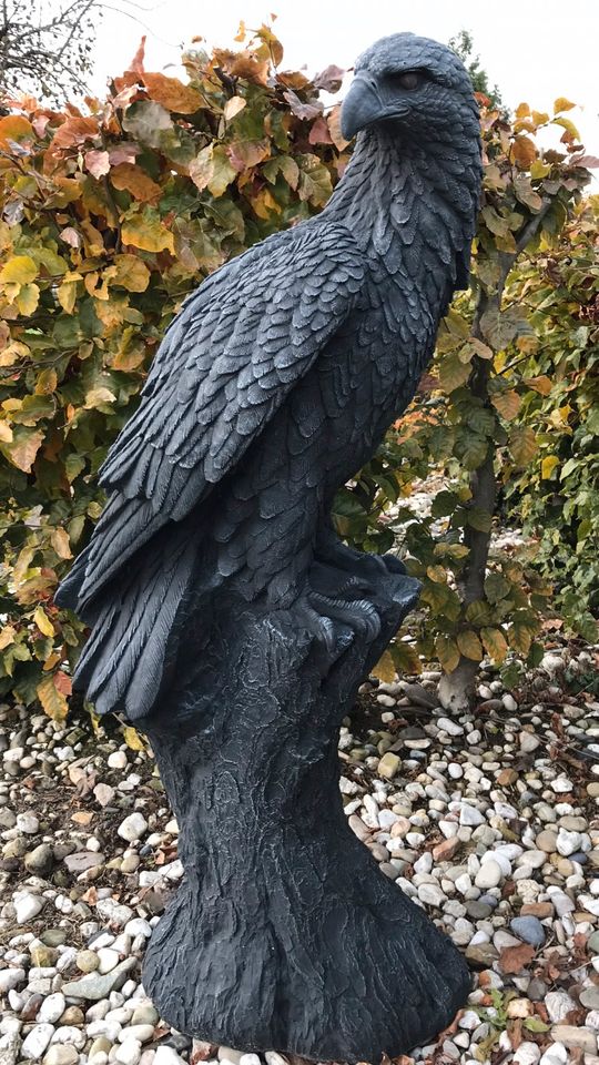 Adler 100kg 106cm Steinadler Seeadler Greifvogel Eagle Harley SGE in Düsseldorf