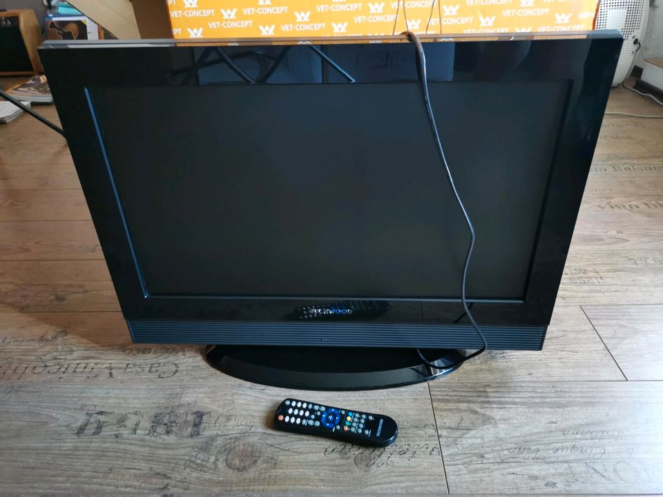 Techwood TV Fernseher in Mücke