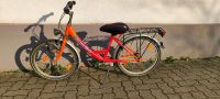 Fahrrad für Kinder Lernfahrrad ohne Pedale Rheinland-Pfalz - Billigheim-Ingenheim Vorschau