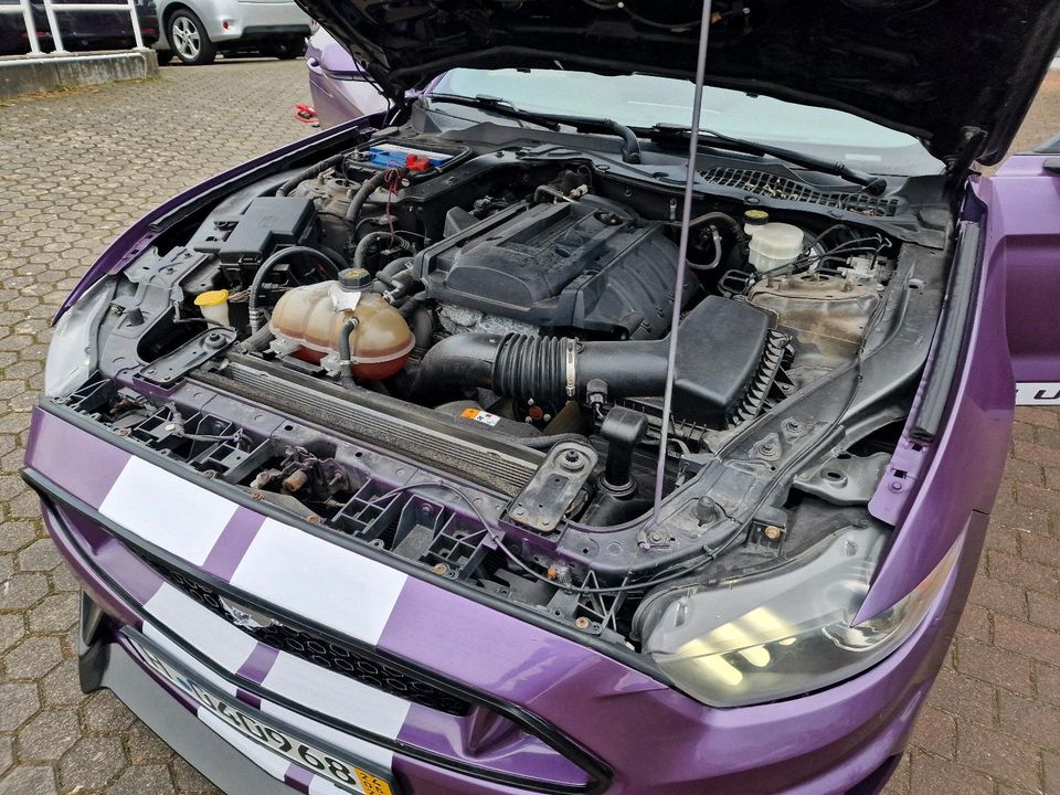 Ford Mustang Coupe 2.3 Umbau GT 5.0 Spoiler Kamera Tausch Audi in Berghausen