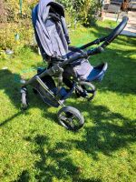 Kinderwagen mit Lammfellen Bebetto Rheinland-Pfalz - Mainz Vorschau