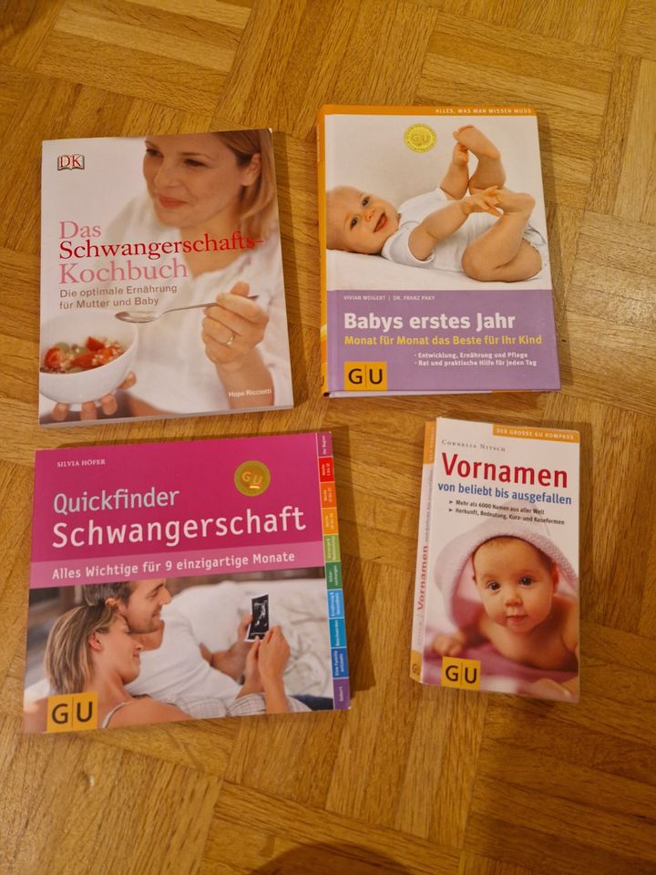 Bücher Schwangerschaft und Baby in Hofheim am Taunus