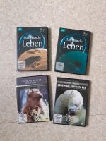 DVD Das Wunder Leben Sachsen - Zwoenitz Vorschau