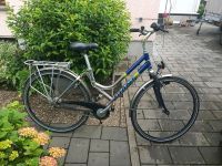 Chianti Damen Fahrrad 28,,nur Abholung Baden-Württemberg - Nordheim Vorschau