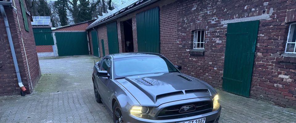 Ford Mustang in Gladbeck