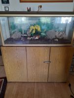 Komplettset Aquarium / Terrarium mit Unterbau und LEDlicht Hannover - Mitte Vorschau