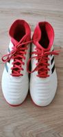 Adidas Gr. 38 Fußballschuhe Tausendfüssler Predator Bayern - Heßdorf Vorschau