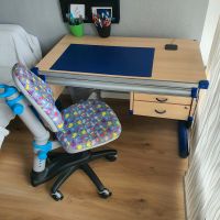 Schreibtisch mit Ergonomischen Stuhl Kettler Comf-pro Hessen - Karben Vorschau
