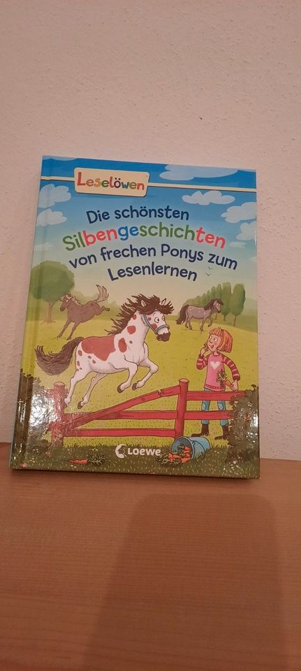 Die schönsten Silbengeschichten von frechen Ponys zum Lesenlernen in Roßbach