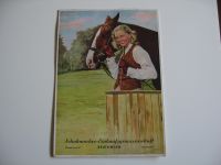 Pappschild kein Emaille-Schild Schuhmacher Werbung Reklame Pferd Bayern - Sulzheim Vorschau