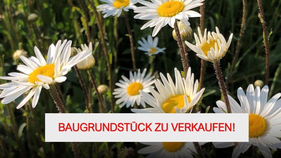 BAUGRUNDSTÜCK IN NIDDERAU – ORTSTEIL! in Nidderau