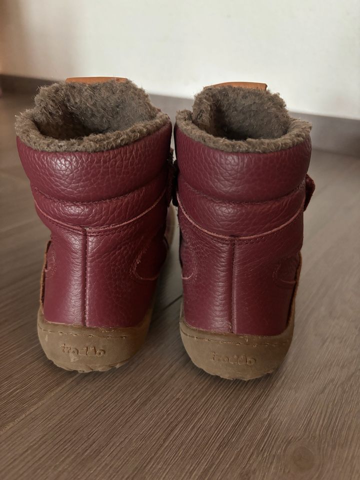 Froddo Barefoot Stiefel 28 Bordeaux in Siegen