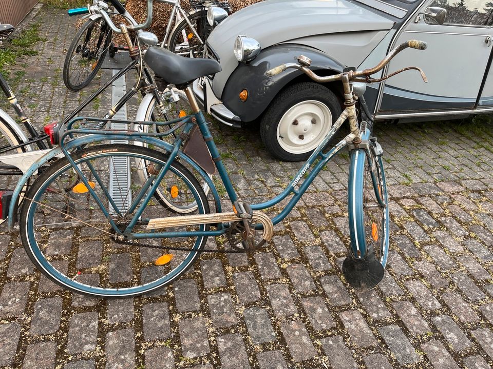 Altes Damenrad 28“ Dürkopp in Bückeburg