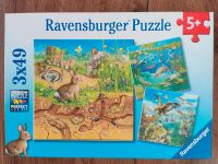 Ravensburger Puzzle 08050 3x49Teile Tiere in ihren Lebensräumen Bayern - Friedberg Vorschau
