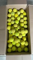 100 gebrauchte Tennisbälle C1 Nordrhein-Westfalen - Telgte Vorschau