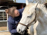 manuelle Pferdetherapie, Masterson Method® Behandlung Niedersachsen - Emden Vorschau