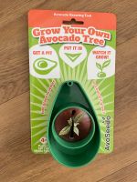 Avocado Growing Tool Geschenkidee Pflanze Bayern - Coburg Vorschau