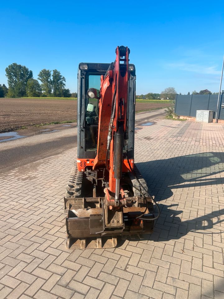 Kubota KX019-4 Minibagger Kettenbagger Bagger 2015 Löffelpaket in Harthausen