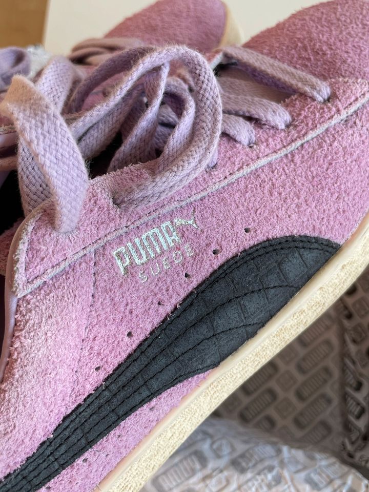 Puma Suede Dimond Supply 42.5 UK 8.5 no Campus Dunk in Hannover