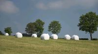 Silo Silage Rundballen Schnitt 2023 Sachsen - Olbernhau Vorschau