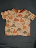 Süßes T-Shirt mit Dinos / Dinosauriern | Größe 74 Berlin - Neukölln Vorschau