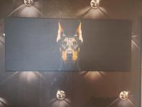 Dobermann leinwandbild hund Berlin - Steglitz Vorschau