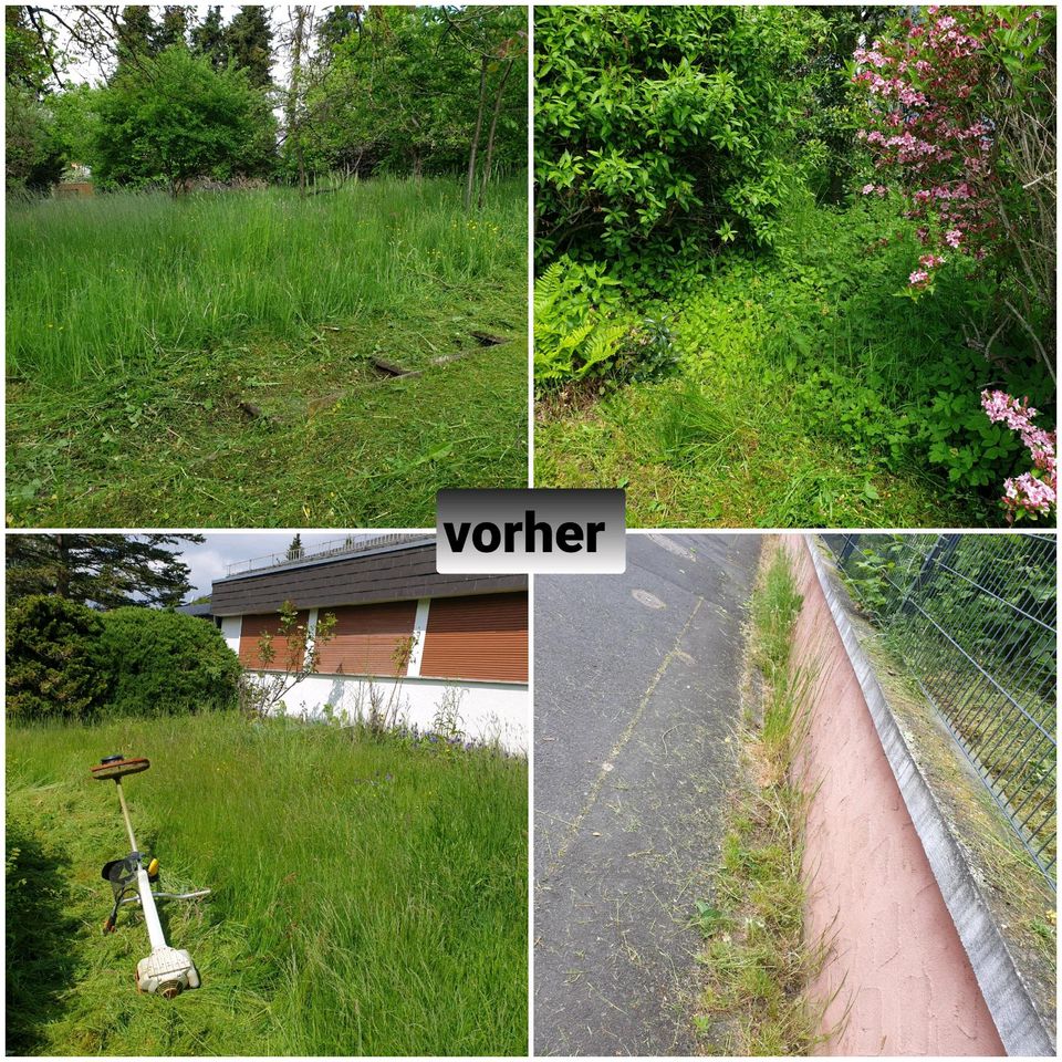 HAUSMEISTERSERVICE, Hausmeister, Garten, Landschaftspflege in Sinntal