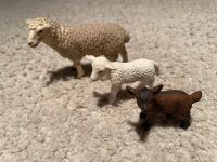 Schleich Schaf mit Lamm und Ziegen Baby Berlin - Friedenau Vorschau