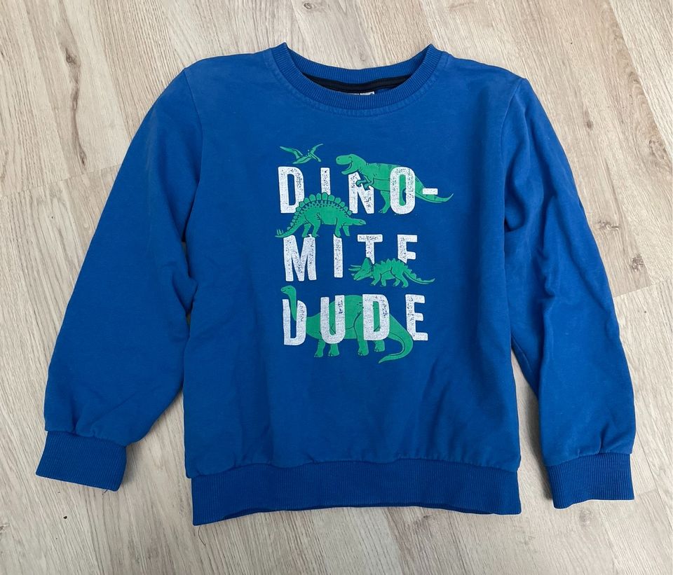 Pulli/ Pullover Dinos Gr. 116/122 in Falkensee