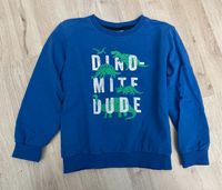 Pulli/ Pullover Dinos Gr. 116/122 Brandenburg - Falkensee Vorschau