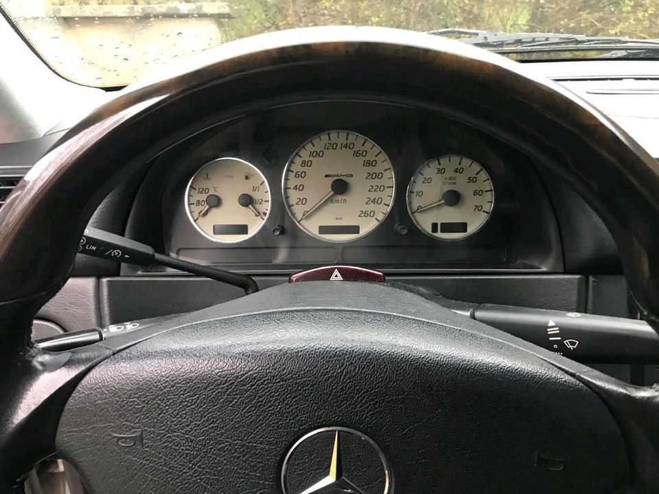 Mercedes ML55 AMG original W163 in Cottbus