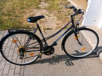 Damen Fahrrad 28er zu verkaufen Sachsen - Schönfeld Vorschau