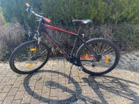 Mountainbike Bayern - Ebersdorf Vorschau