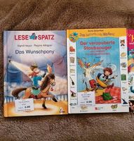 Buch, Erstlesebuch, Das Wunschpony und Der verzauberte.. Bayern - Nördlingen Vorschau