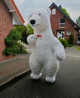 Eisbär/Panda/Stich Kostüm für Hochzeit/Geburtstag  Mieten/Leihen Bielefeld - Bielefeld (Innenstadt) Vorschau
