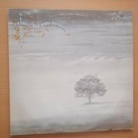 Genesis Wind & Wuthering Vinyl Nordrhein-Westfalen - Viersen Vorschau