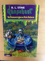 Gänsehaut Schauergeschichten von R. L. Stine Baden-Württemberg - Rickenbach Vorschau