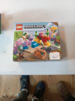 Lego Minecraft Set komplett mit Karton und Anleitung Nordrhein-Westfalen - Rheinbach Vorschau