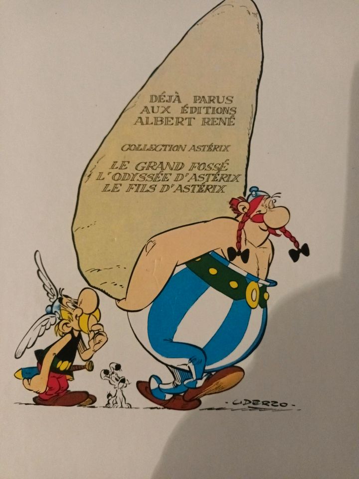 5€ Le fils Asterix französische Sprache Frankreich Buch in Remagen