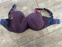 BH Curvy Kate 75 J Brandenburg - Panketal Vorschau
