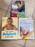 3 Bücher Schwangerschaft Baby, Jedes Kind kann schlafen lernen Bayern - Wenzenbach Vorschau