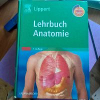 Lehrbuch Anatomie Hessen - Merenberg Vorschau