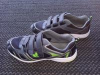 Lico Hallenturnschuhe Größe 42/43 Bayern - Thalmassing Vorschau
