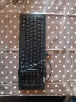 Neue Tastatur Computer Marke Acer Bayern - Marktoberdorf Vorschau