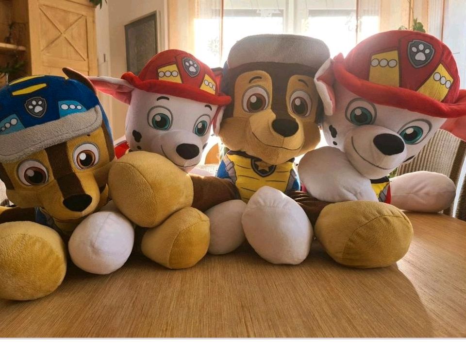 Paw Patrol Plüschtiere XXL in Wesendorf