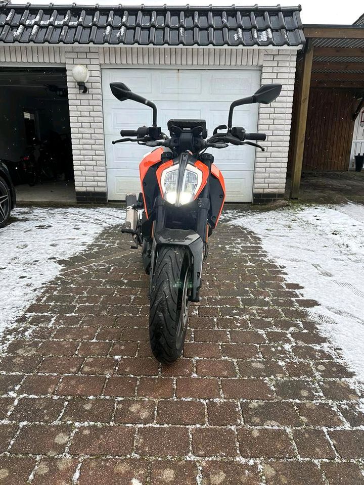 KTM 125 Duke in Boizenburg/Elbe