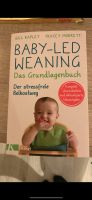 Baby-LED-Weaning Buch Schleswig-Holstein - Neumünster Vorschau