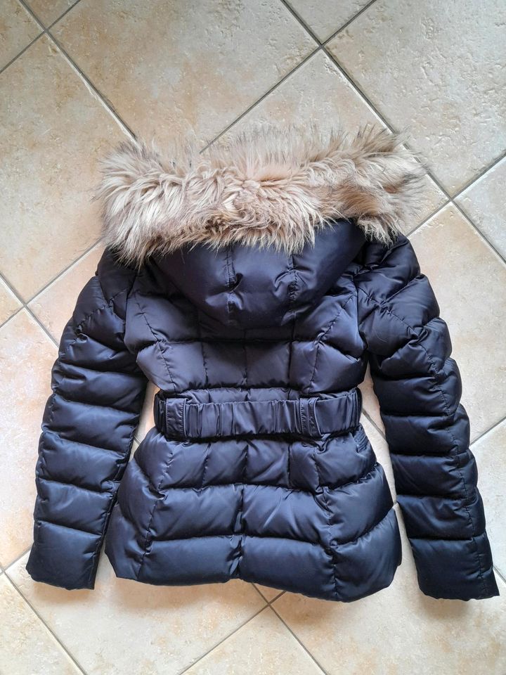 HALLHUBER DAUNENJACKE Gr. 38 dunkelblau Winterjacke in Preetz